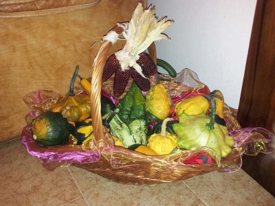 "Mais fragola" e zucche ornamentali / 20140906_093816.jpg 20140906_093816.jpg