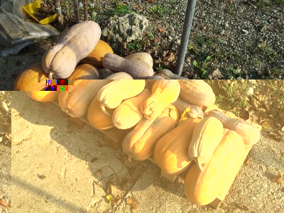 Zucche / 20140906_090428.jpg 20140906_090428.jpg