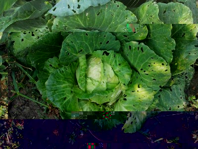 Cappuccio / 20140906_091345.jpg 20140906_091345.jpg