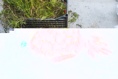 46 carote.jpg (198.31 KiB) Osservato 726 volte 46 carote.jpg