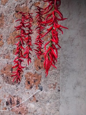 ne ho fatte solo 4 ma con tutti i pepper che ho messo quest'anno passerò il centinaio... / IMG_20140915_141043.jpg IMG_20140915_141043.jpg