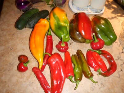 1DSCN1913.JPG (111.69 KiB) Osservato 1133 volte 1DSCN1913.JPG