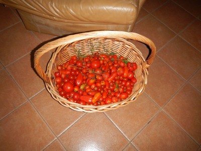 3aDSCN1914.JPG (105.65 KiB) Osservato 1133 volte 3aDSCN1914.JPG