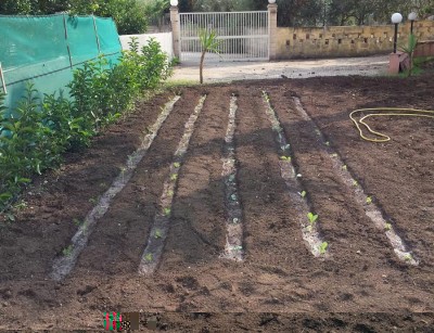 ort.jpg (103.16 KiB) Osservato 885 volte ort.jpg