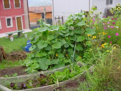 DSC03369.JPG (235.38 KiB) Osservato 642 volte DSC03369.JPG