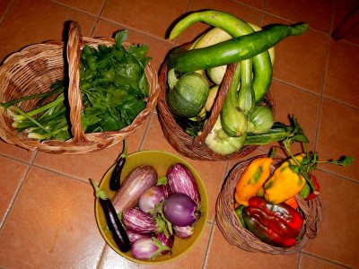 9raccolta6settembre2.JPG (145.48 KiB) Osservato 745 volte 9raccolta6settembre2.JPG