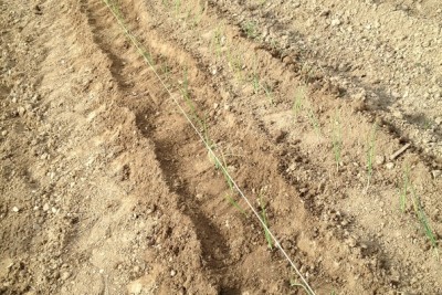 Foto 11-10-14 11 43 31.jpg (269.13 KiB) Osservato 882 volte Foto 11-10-14 11 43 31.jpg