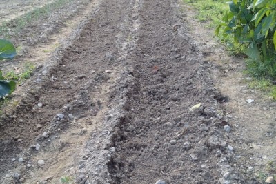 Foto 25-10-14 15 15 33.jpg (257.59 KiB) Osservato 840 volte Foto 25-10-14 15 15 33.jpg