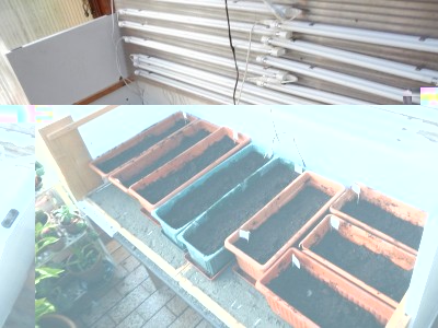 DSCN2771.JPG (99.25 KiB) Osservato 1639 volte DSCN2771.JPG