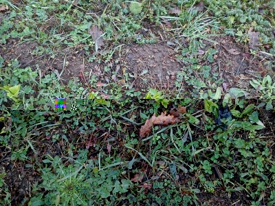 DSC_2445.jpg (368.92 KiB) Osservato 2861 volte DSC_2445.jpg