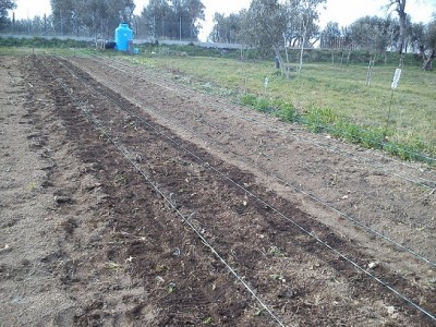 image_4_730326555_157398.jpg.jpg (226.52 KiB) Osservato 904 volte image_4_730326555_157398.jpg.jpg