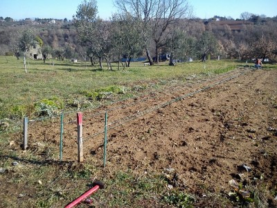 image_4_730326248_158407.jpg.jpg (238.81 KiB) Osservato 904 volte image_4_730326248_158407.jpg.jpg