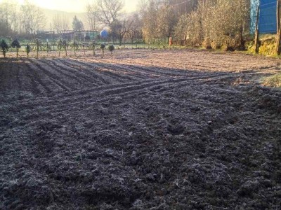 11007559_10206091074783572_1146745984_n.jpg (98.12 KiB) Osservato 882 volte 11007559_10206091074783572_1146745984_n.jpg