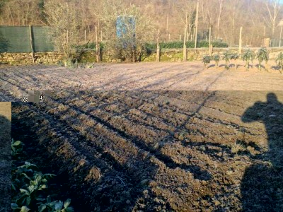 11004157_10206091073903550_934310072_n.jpg (98.91 KiB) Osservato 882 volte 11004157_10206091073903550_934310072_n.jpg