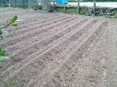 11004797_10206091068583417_1792786393_n.jpg (98.58 KiB) Osservato 879 volte 11004797_10206091068583417_1792786393_n.jpg