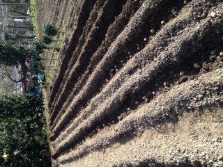 IMG_4999.JPG IMG_4999.JPG