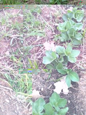 IMG_20150304_132535.jpg (314.91 KiB) Osservato 865 volte IMG_20150304_132535.jpg