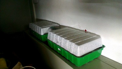 3 Marzo 2015 - 2 / Agraria2.jpg Agraria2.jpg