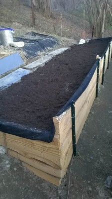 WP_20150303_017bis.jpg (101.58 KiB) Osservato 628 volte WP_20150303_017bis.jpg