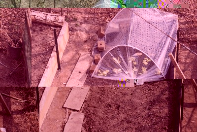 insalata.jpg (164.92 KiB) Osservato 557 volte insalata.jpg