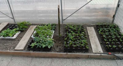 Ultimo rinvaso 3.jpg (107.58 KiB) Osservato 825 volte Ultimo rinvaso 3.jpg