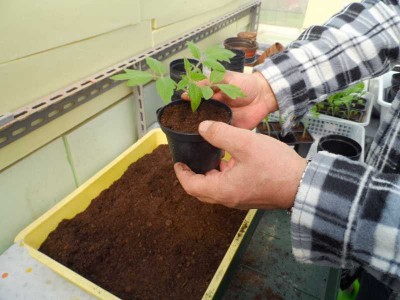 Ultimo rinvaso 4.jpg (110.69 KiB) Osservato 825 volte Ultimo rinvaso 4.jpg