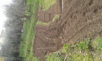 rps20150323_194840_492.jpg (152.04 KiB) Osservato 1353 volte rps20150323_194840_492.jpg