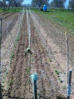 image_4_730409627_30170.jpg.jpg (234.65 KiB) Osservato 882 volte image_4_730409627_30170.jpg.jpg