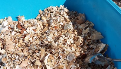 20150403_102141.jpg (221.18 KiB) Osservato 1432 volte 20150403_102141.jpg