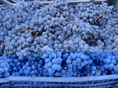 DSC04845.jpg (132.79 KiB) Osservato 905 volte DSC04845.jpg