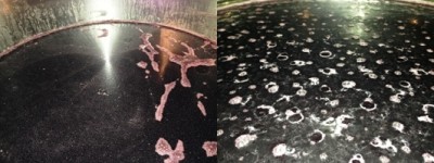 IMG_7685-horz.jpg (113.42 KiB) Osservato 918 volte IMG_7685-horz.jpg