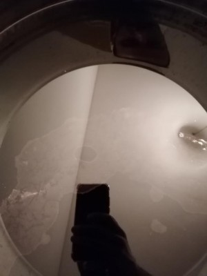 IMG_20201101_182050.jpg (29.77 KiB) Osservato 565 volte IMG_20201101_182050.jpg