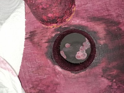 Foto 2 / IMG_20220827_100953.jpg IMG_20220827_100953.jpg