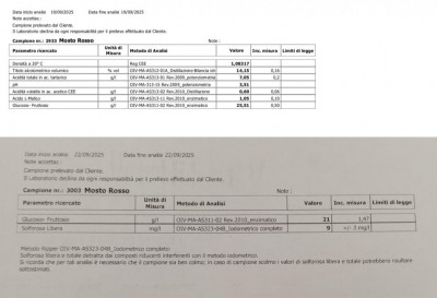 ANALISI.jpg (67.19 KiB) Osservato 2670 volte ANALISI.jpg