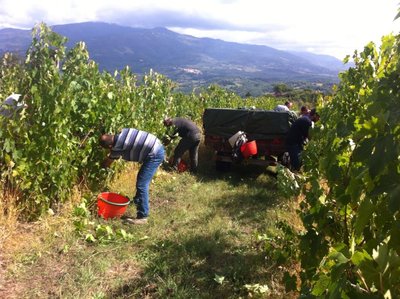 994008_401969426599150_2097271056_n.jpg (138.6 KiB) Osservato 1499 volte 994008_401969426599150_2097271056_n.jpg