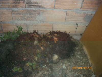 IMGP1148.JPG (250.6 KiB) Osservato 935 volte IMGP1148.JPG