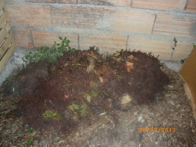 IMGP1149.JPG (233.88 KiB) Osservato 935 volte IMGP1149.JPG