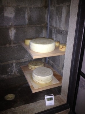 Mensole / Camera.JPG Camera.JPG