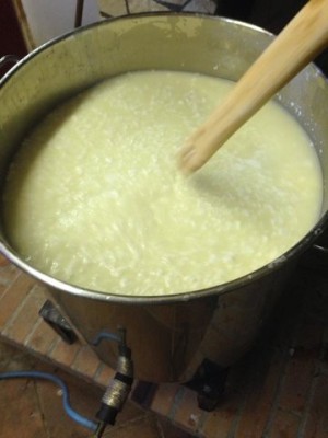 rsz_rottura_cagliata.jpg (27.04 KiB) Osservato 750 volte rsz_rottura_cagliata.jpg