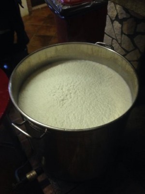 cagliata / rsz_cagliata.jpg rsz_cagliata.jpg