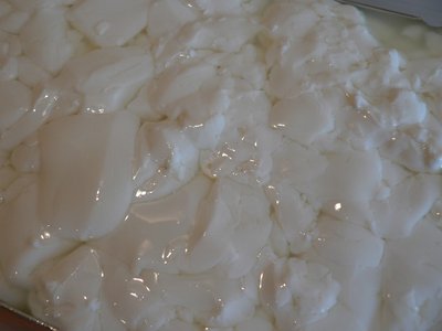 come si presenta la cagliata appena versata / P1110074.jpg P1110074.jpg