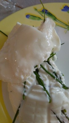 raviggiolo.jpg (91.11 KiB) Osservato 1395 volte raviggiolo.jpg