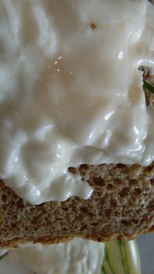 raviggiolo2.jpg (97.79 KiB) Osservato 1395 volte raviggiolo2.jpg