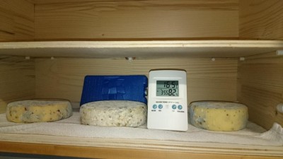 DSC_0083.JPG (55.79 KiB) Osservato 1921 volte DSC_0083.JPG