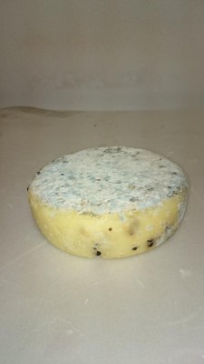 DSC_0082.JPG (30.62 KiB) Osservato 1921 volte DSC_0082.JPG