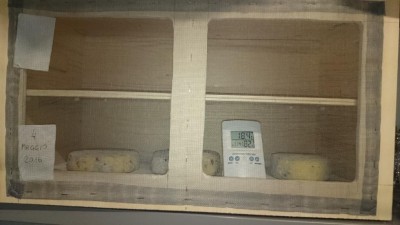 DSC_0080.JPG (79.58 KiB) Osservato 1921 volte DSC_0080.JPG