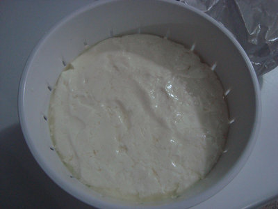 Stracchino.jpg (313.78 KiB) Osservato 1231 volte Stracchino.jpg