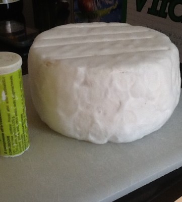 Latte omogeneizzato / image.jpeg image.jpeg