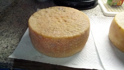 14470489_10210621723048937_7969307894884501640_n.jpg (86.54 KiB) Osservato 1021 volte 14470489_10210621723048937_7969307894884501640_n.jpg