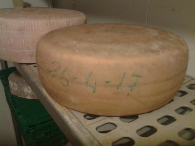 Fontal del 26 4 17peso kg.11,8 altra forma kg.12.8 / 20170728_085832.jpg 20170728_085832.jpg